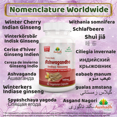 Ashwagandha Capsule-2