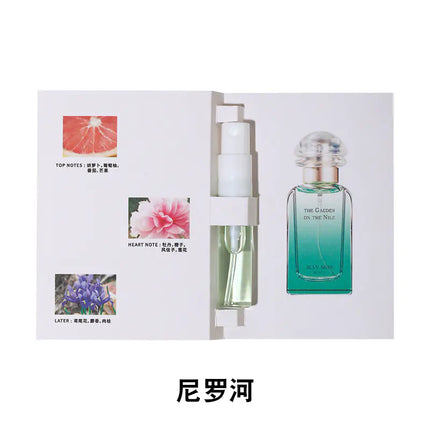 Long-Lasting Women's Perfume - Vietnam Market Wholesale