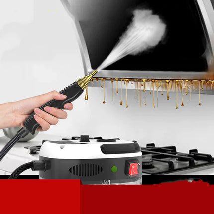 Multi‑Purpose High‑Temp Steam Cleaner for Home & Auto (110V/220V)