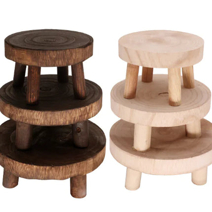 Solid Timber Botanical Display Stand